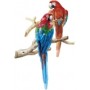 W13475 Parrots